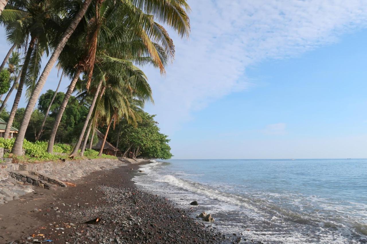 Villa Aditya Tejakula Buitenkant foto