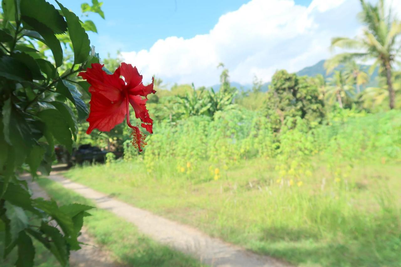 Villa Aditya Tejakula Buitenkant foto