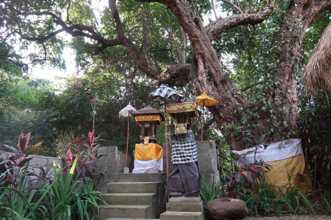 Villa Aditya Tejakula Buitenkant foto