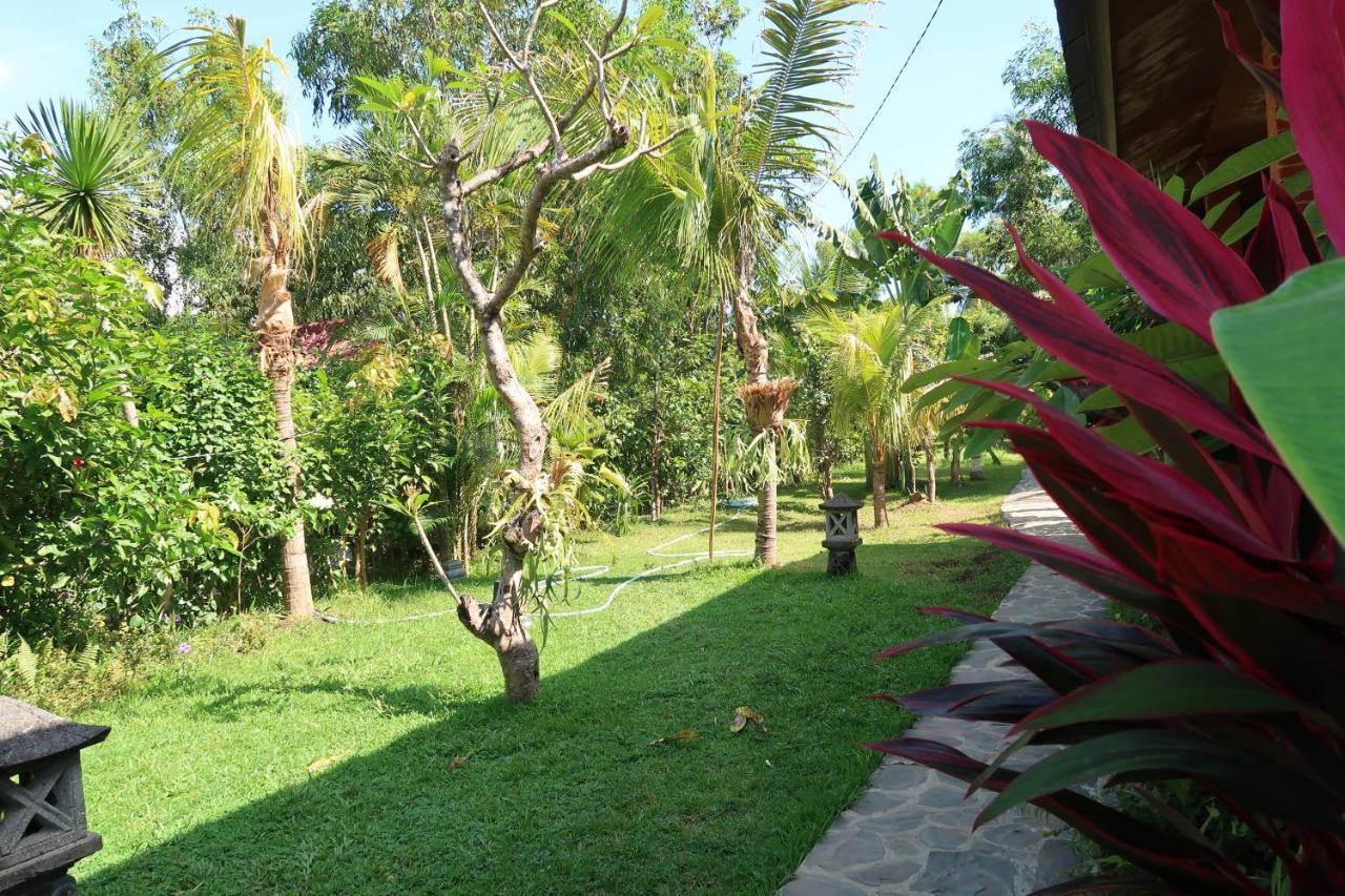 Villa Aditya Tejakula Buitenkant foto