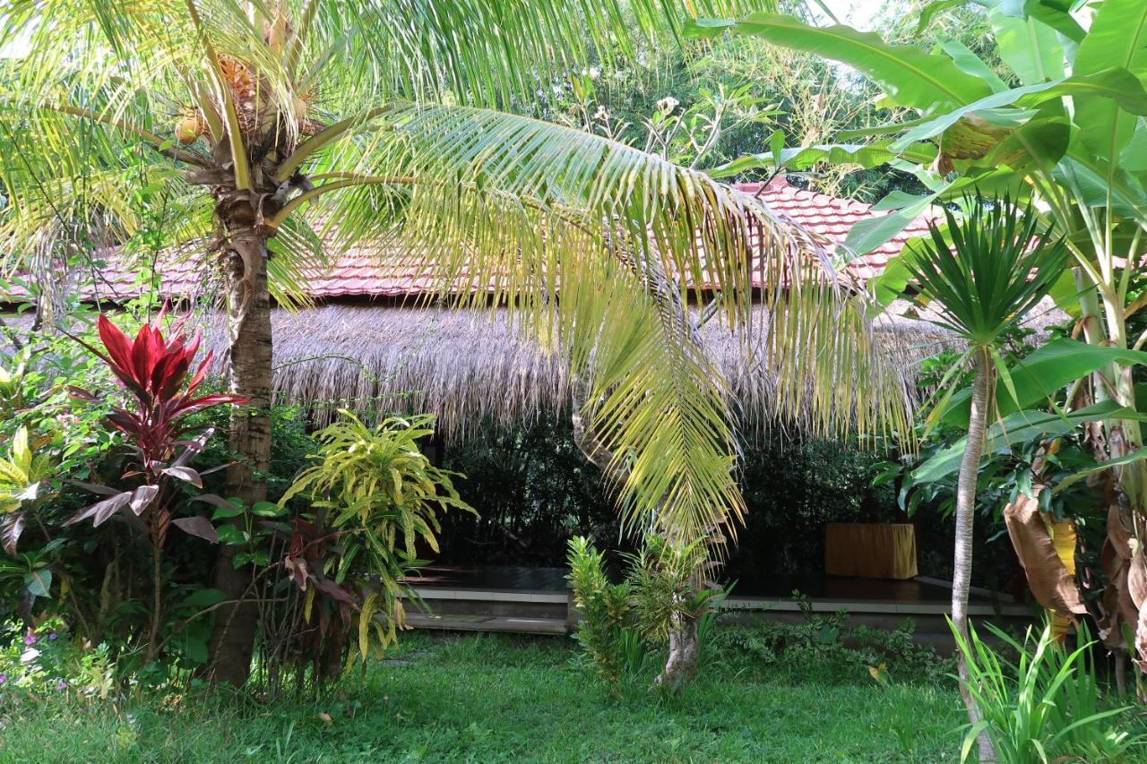 Villa Aditya Tejakula Buitenkant foto