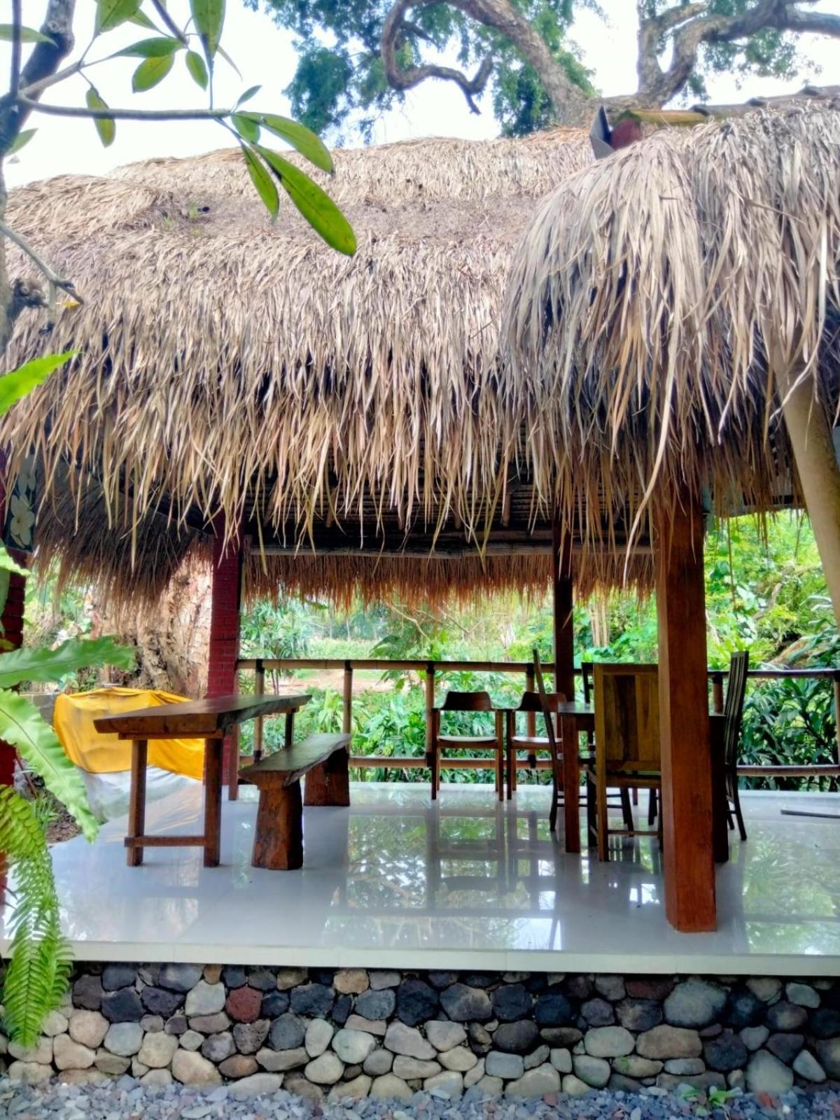 Villa Aditya Tejakula Buitenkant foto