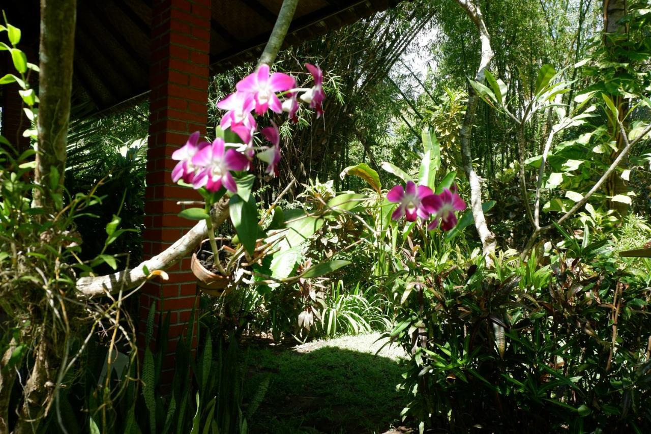 Villa Aditya Tejakula Buitenkant foto